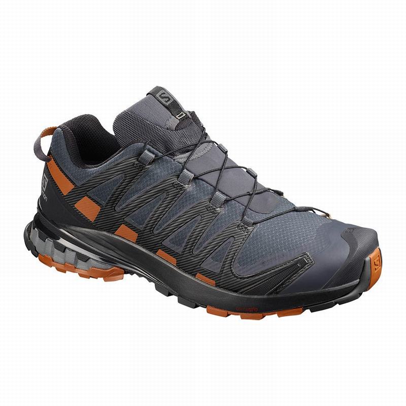 Zapatillas Trail Running Salomon Hombre Azules Oscuro / Negras - Salomon Argentina XA PRO 3D V8 GORE